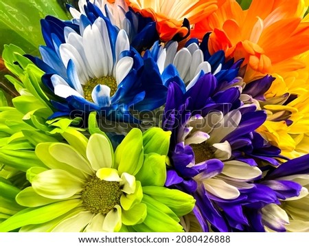 Nature concept Colorful spring flower background.