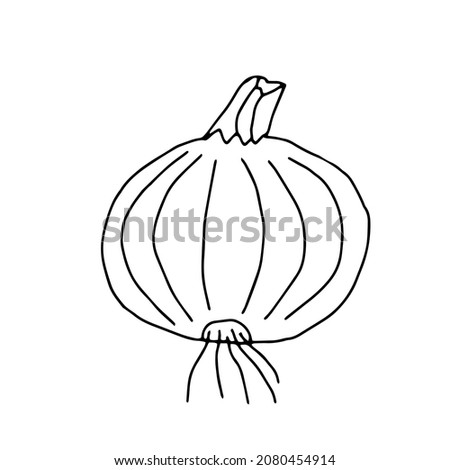 A Black Vector outline illustration of an onion isolated on a white background