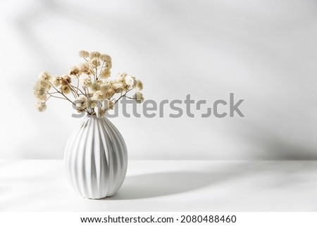 Copy space. The place for text. A vase with white dry flowers stands on a tray for Valentine's Day. Isolated on the white background Royalty-Free Stock Photo #2080488460