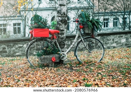 bicycle pointed in a Christmas style stands by a birch.