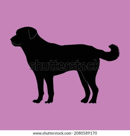 Vector silhouette of a dog in nature, Funny Dachshund Dog Vector Art, Vector image of an dog  on pink background.