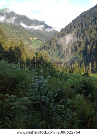 Beautiful Kachkar Mountains and forest view from Ayder plateau