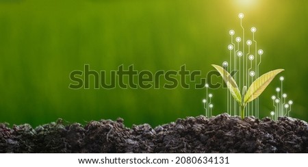 Doing CSR by planting trees, CSR concept and business planting saplings of trees Royalty-Free Stock Photo #2080634131