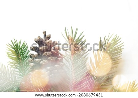 Christmas decoration made of fir branches and pine cones isolated on white background.