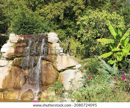 photo of a small waterfall, a small banana tree and pink roses