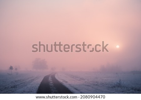 Road with frosted trees in winter mountains at foggy sunrise. Beautiful winter landscape. 