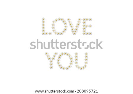 banner, background, I love you, I love you, white background, inscription of white daisies, daisy, daisy, 