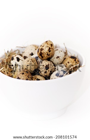A lot of quail eggs - Stock Image