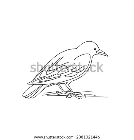 this is a cute and beautiful crow images line art ,outline drawing,vector art and illustrations art