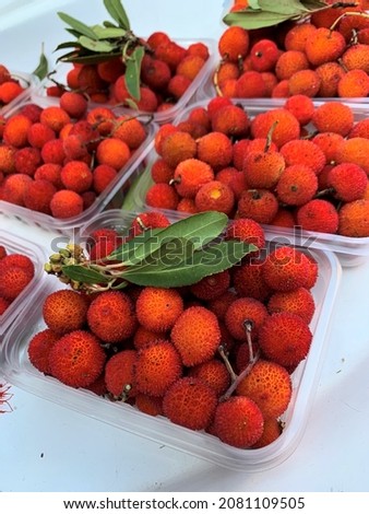 Arbutus unedo - mountain berries - special fruits