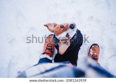 top view of cute jack russell dog wearing coat standing by owner legs on snowy landscape during winter, hiking and adventure with pets concept Royalty-Free Stock Photo #2081263939