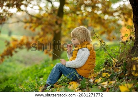 Happy child, playing with in autumn park on a sunny day, foliage and leaves all around him, eating musli bar