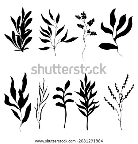 Set of branches and leaves cut out on a white background. Botanical sketch of contour plants, black silhouettes
