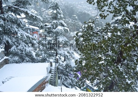 Snow in the mountain and beautiful villages with tree and snow