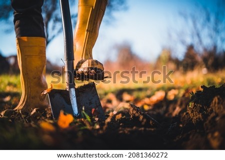 Worker digs soil with shovel in colorful autumn garden, agriculture concept autumn detail. Mans yellow boot or shoe on spade prepare for digging. Royalty-Free Stock Photo #2081360272