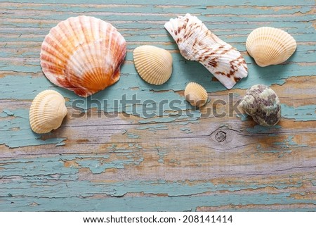 Seashells on a turquoise wooden background. Copy space