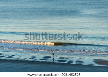 Myrtle Beach aerial high angle view on Atlantic ocean at sunrise with one senior old man walking on beach shore with waves breaking crashing