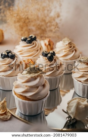 Beautifully decorated holiday cupcakes, butter cream and delicious blueberries