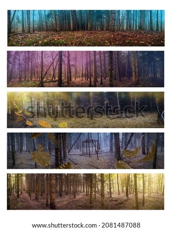 Colorful foliage in strange fall forest with magical atmosphere panoramic picture. Wide horizontal format banners collection.
