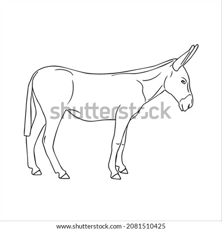 this is a cute and beautiful Donkey images line art ,outline drawing,vector art and illustrations art
