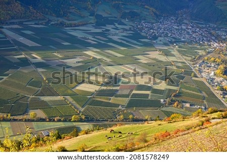 Aerial view of the orchards of Adige valley`, South Tyrol, Italy                               