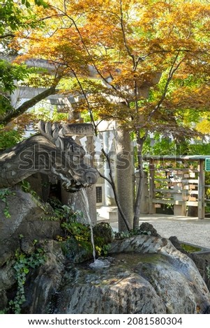 autum colorful tree leaves and a stone dragon statue throwing out water in shinto shrine
