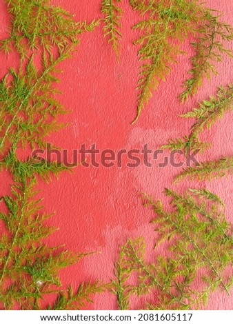 photo of green leaves placed on a red cement background