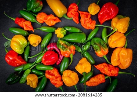 fresh assorted hot peppers chiles on black background. Death spiral habanero scotch bonnet trinidad
