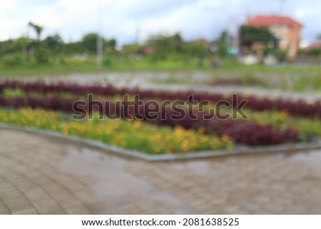 natural bokeh, outdoor garden themed blurry photos, blurry garden photos for web and blog backgrounds