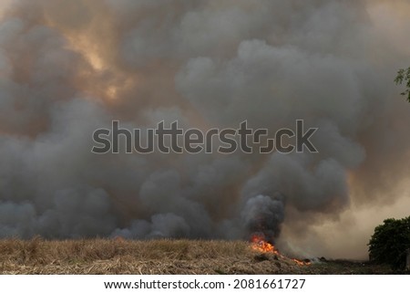 raging smoke pattern background of fire burn in grass fields, forests and black and white smoke to sky. Big wildfire close-up. pollution in air concept. wildfire make to smoke bush pollution in world. Royalty-Free Stock Photo #2081661727