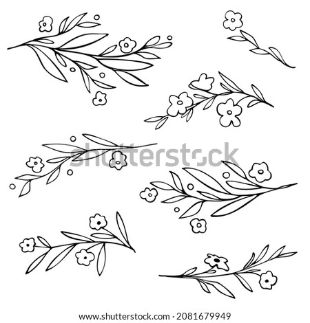 Hand drawn flowering branches. Black and white floral design elements. Blooming plants and branches. Vector image. 