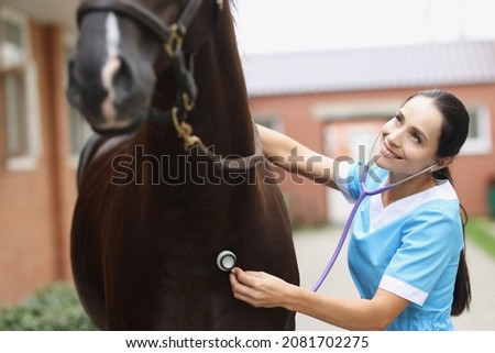 Veterinarian doctor listens with stethoscope to beautiful black horse. Horse health care concept
