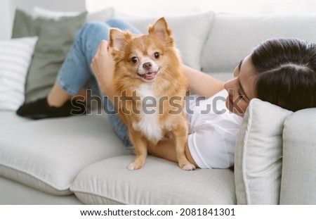 Portrait of beautiful young Asian woman lying on sofa with brown pretty chihuahua pet dog looking at camera in living room of her cozy house. People and dogs, pets adoption, Friendly Concept.