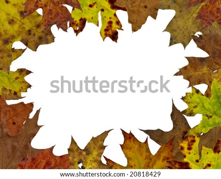 fall tree leaf background with space for text