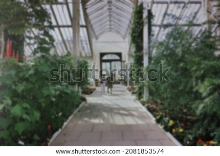 Blur green garden indoors decorated with flowers Royalty-Free Stock Photo #2081853574
