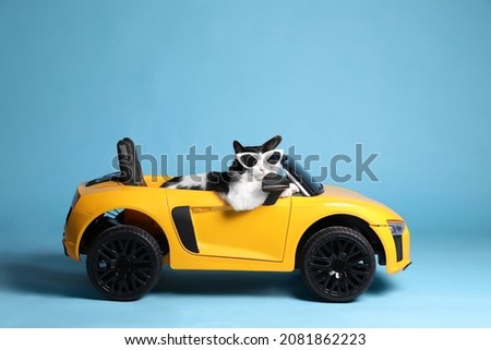 Funny cat with sunglasses in toy car on light blue background