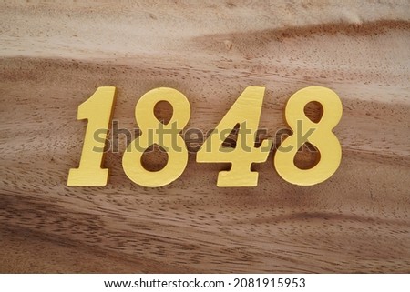 Golden Arabic numerals 1848 on a dark brown to white wood grain background.