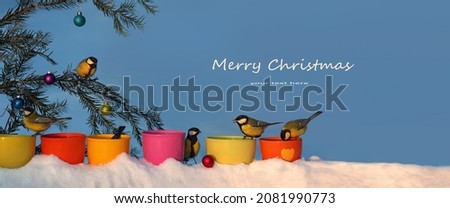 Funky titmouses feed from colorful bird feeders near Christmas tree. Concept of Holiday Christmas and New Year for postcards, holiday banner, poster, greeting, invitation, etc. 