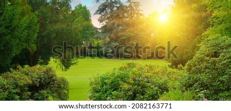 Cozy city garden with green lawns and many flowers at sunset. Wide photo.
