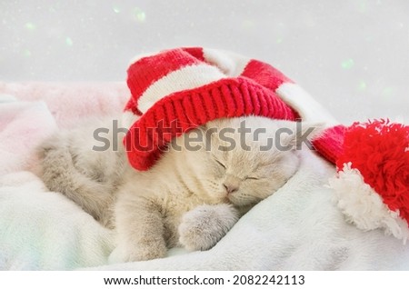Kitten in a Christmas hat sleeps on a soft pillow