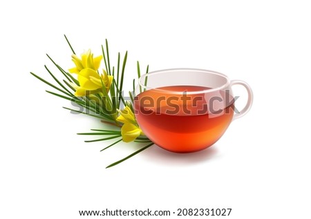 Realistic 3d vector illustration of rooibos drink. Cup of tea isolated on white. Rooibos branch in blossom. Herbal roibos tea. Transparent glass mug. Red bush caffeine free Aspalathus herbal infusions Royalty-Free Stock Photo #2082331027