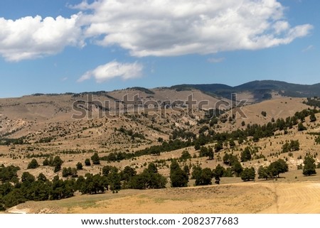 Landscape photo of forest and mountains and cloudy sky.