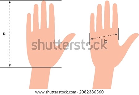 Vector Template for measuring hands. Glove Sizing Charts. Template for measuring gloves. 