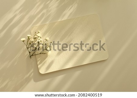 Empty Blank texture canvas paper card with copy for your text message and flower. Light and shadows minimalism style template background. Flat lay, top view. Beige color tone.