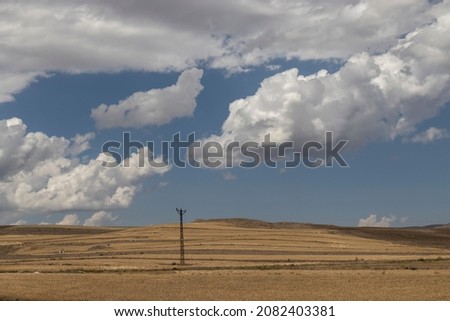 Wide fields of wheat ears, landscape.
