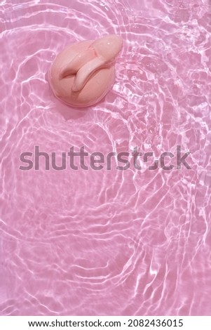 Happy Easter minimal concept. Bunny rabbit in water on pastel pink background

