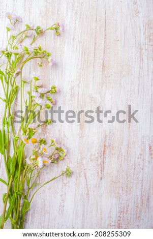 Blank picture frame paper with plants on wooden table
