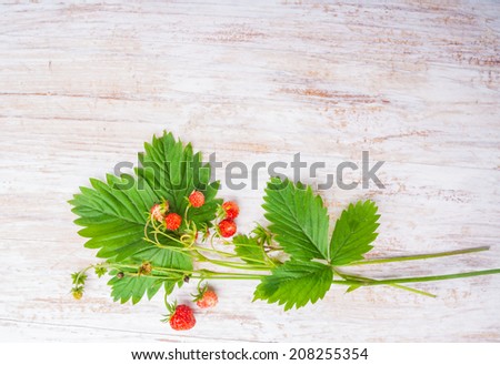 Blank picture frame paper with plants on wooden table
