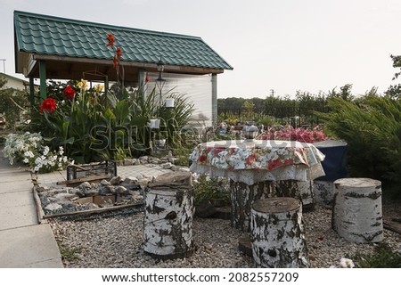 Decoration of the territory of a home garden, lovers of agriculture, a home courtyard, a recreation area in the garden, a table and chairs birch stumps