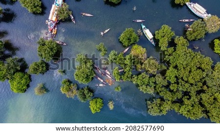 Aerial view of wooden boats anchored with green half drowned trees in Tanguar hoar, Sunamganj, Bangladesh.
